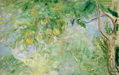 Grenar av apelsinträd, 1889